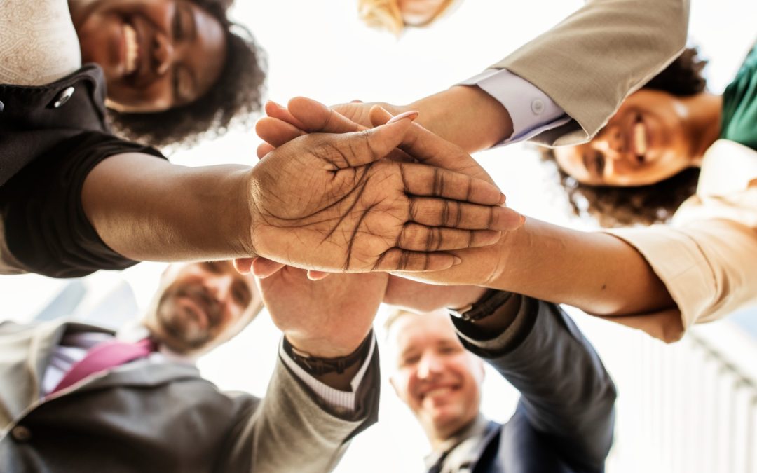 Exploring the Innovative Solutions Offered by Growthesis